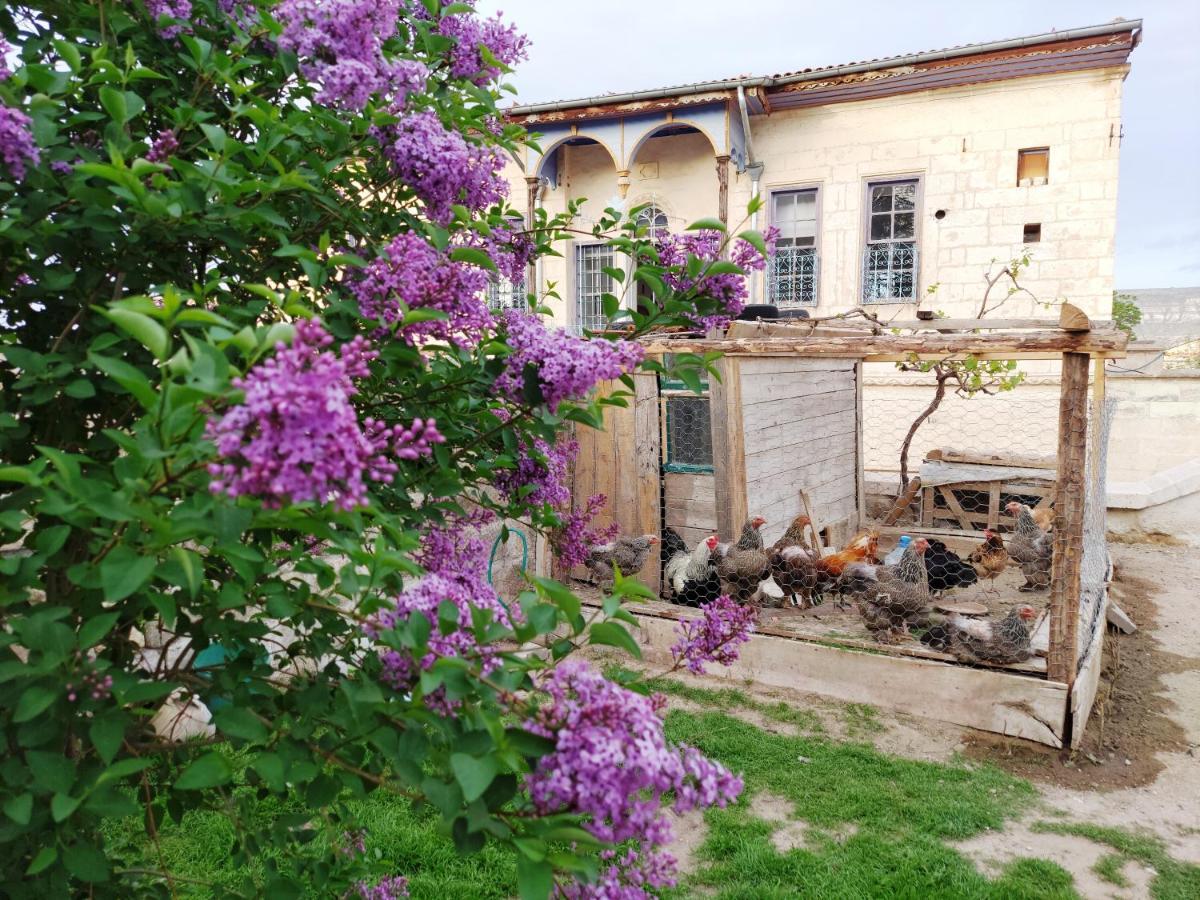 Armesos Cave Hotel ウルギュップ エクステリア 写真