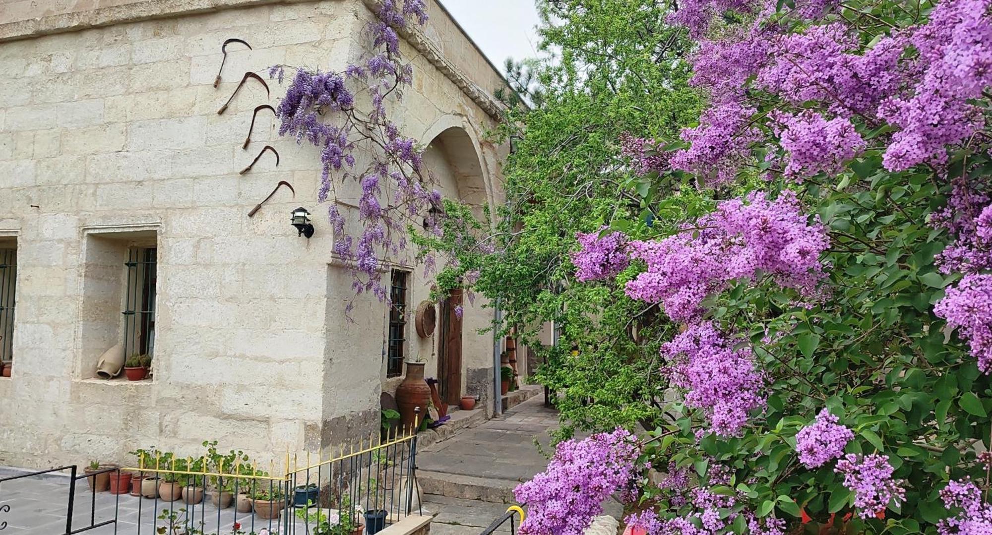 Armesos Cave Hotel ウルギュップ エクステリア 写真